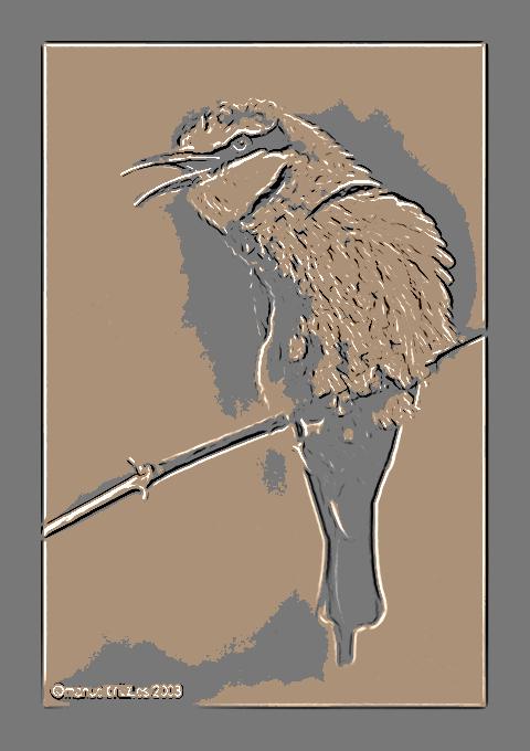 sketch_bird.jpg